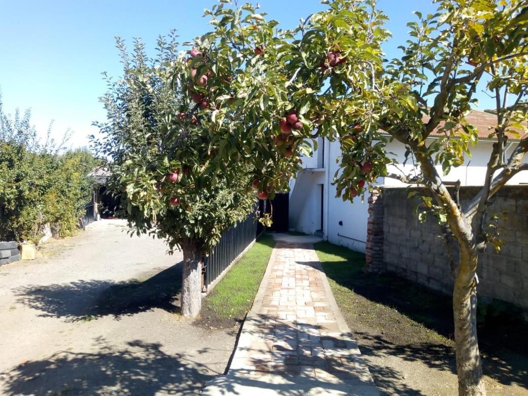 Hostel De Esquel Zewnętrze zdjęcie